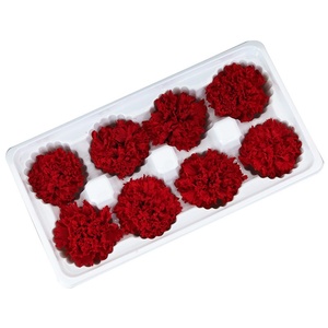 Vente directe usine : Tête <span class=keywords><strong>de</strong></span> fleur <span class=keywords><strong>de</strong></span> carnation stabilisée DIY pour fleur <span class=keywords><strong>éternel</strong></span>le, bouquet pour la Fête des Mères et les fêtes religieuses - Product Image 5