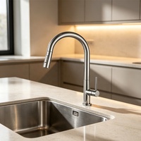 Robinet de cuisine commercial en acier inoxydable robuste à montage sur plan, eau froide, rotation à 360°, flexible et extractible
