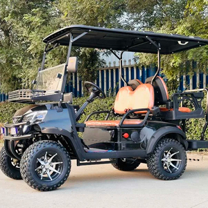 Carros de Golf Nuevos de Fábrica con Certificación CE, Mini Carros de Golf en Venta - Product Image 5