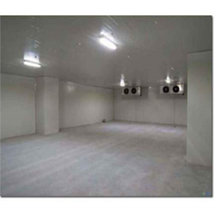 工厂销售40个鼓风-冰柜-集装箱20英尺冷特大空气速冷室 - Product Image 2