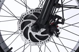 48V 18Ah EGO 03 Tricycle électrique Cargo moteur moyeu arrière acier <span class=keywords><strong>5</strong></span> vitesses avant arrière paniers 250W adultes 120kg vélo de ville - Product Image 5