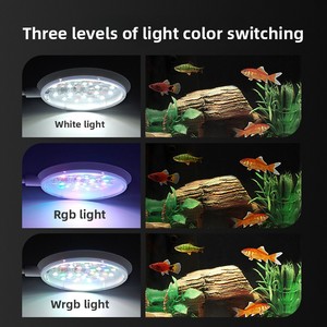 Lampe <span class=keywords><strong>LED</strong></span> à clip pour <span class=keywords><strong>aquarium</strong></span>, haute fidélité des couleurs, spectre complet, pour la croissance des <span class=keywords><strong>algues</strong></span>, idéale pour petits aquariums et décorations de bureau - Product Image 4
