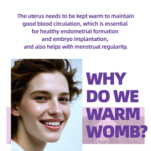 OEM ODM Prêt à expédier Thé bien-être pour femmes 10 sachets Mélange naturel de sucre brun, gingembre et jujube Favorise l'énergie et le confort 10 sachets - Product Image 2