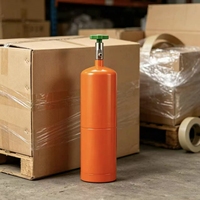 Bouteille de gaz hélium portable WMT en acier de 1L avec pression de 26 bars et buse pour kit de ballons