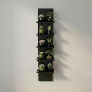 Wall Mounted <b>Plant</b> Shelf 5 Tier Black Rectangle Durable Storage Rack For Succulents And Ornaments - Product Image 1