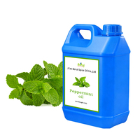 Huile essentielle de menthe poivrée 100% naturelle, huile pure de Mentha Spicata pour les soins des cheveux et de la peau