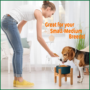 ชามอาหารสุนัขไม้ไผ่สูง9นิ้วแบบปรับได้สำหรับ<span class=keywords><strong>มด</strong></span>พันธุ์กลาง - Product Image 5