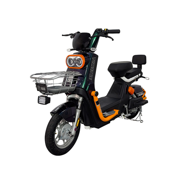 Paige New Factory Direct Sale Electric Bike 500w 60v20ah  Sleek Electric Bike  With LCD Display for Easy City Travel