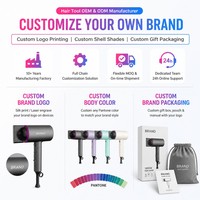 Sèche-cheveux ionique compact et pliable Torlin 1800W à séchage rapide et multi-styles, prêt à être expédié, idéal pour hôtels, salons et camping-cars