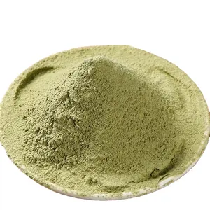 Hot Selling Wasabi Extract 10:1 Water Soluble High Quality Wasabi Powder Mountain Fern Extract