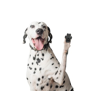 <span class=keywords><strong>Coussinets</strong></span> d'extérieur en silicone pour animaux de compagnie pour chats et chiens semelle intérieure imperméable antidérapante anti-rayures chaussures invisibles peuvent être personnalisées - Product Image 1