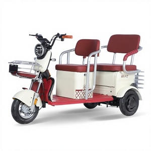 Triciclo Eléctrico Casual de Exportación <span class=keywords><strong>para</strong></span> Comercio Exterior, <span class=keywords><strong>Scooter</strong></span> de <span class=keywords><strong>Movilidad</strong></span> <span class=keywords><strong>para</strong></span> Mayores, Alta Potencia, 300-400kg, 30km/h, 30km - Product Image 1