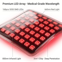 Thérapie par lumière rouge pour animaux de compagnie, réglage du temps, LED professionnelle durable, bracelet pour animaux, utilisation à domicile, thérapie par lumière rouge