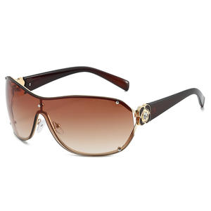 <span class=keywords><strong>2026</strong></span>年最新ファッション クラシック オーバーサイズ スクエア サングラス レディース UV400 高級サングラス メンズ カスタムロゴ 卸売 サングラス - Product Image 5