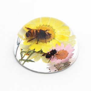 Espécimen de flor de insecto medio redondo de 67mm en artesanías de resina Decoración de mesa ámbar transparente - Product Image 4