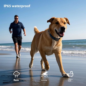 2025 Mini Control remoto interactivo recargable E-<span class=keywords><strong>Collar</strong></span> entrenamiento de perros IP67 plástico impermeable recordatorios de vibración sin golpes para - Product Image 6