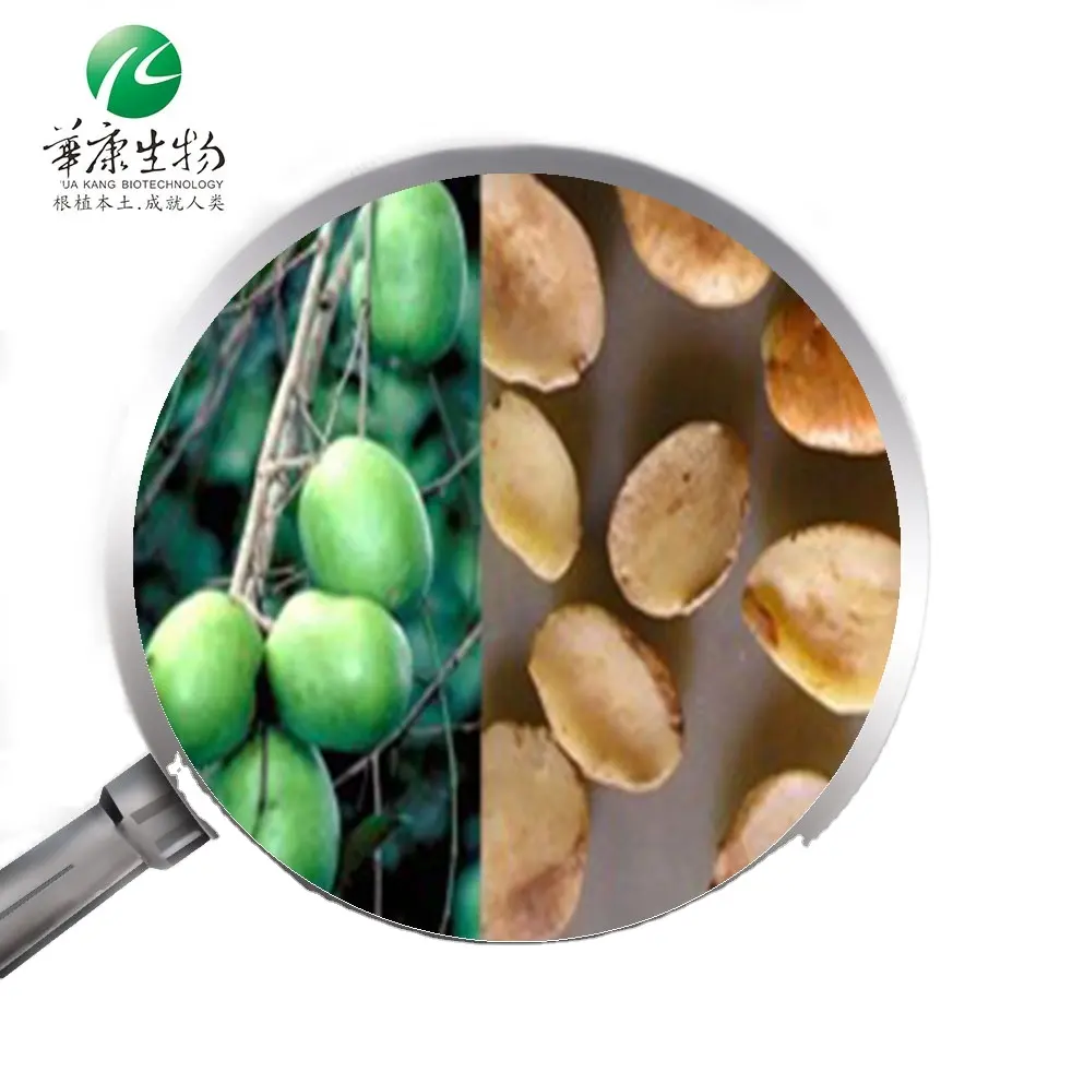 Hot sale 7%-25% albumin protein Irvingia Gabonensis wild African Mango Seed extract