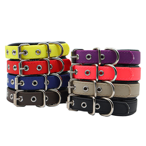 Duurzame <span class=keywords><strong>Eva</strong></span> Plastic Halsband Met Gewatteerde Pvc Gesp Waterdichte Linten Meerdere Kleuren Solide 2-5 Dagen Groothandel - Product Image 1