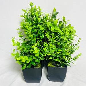 Venta caliente Artificial Verde <span class=keywords><strong>Interior</strong></span> Decoraciones al aire libre <span class=keywords><strong>Plantas</strong></span> <span class=keywords><strong>de</strong></span> plástico <span class=keywords><strong>Plantas</strong></span> en maceta Planta artificial <span class=keywords><strong>con</strong></span> maceta - Product Image 4