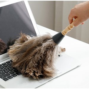 Plumeau à thé portable, outil de dépoussiérage domestique sans perte de plumes, plumeau électrostatique, plumeau en plumes d'autruche. - Product Image 4