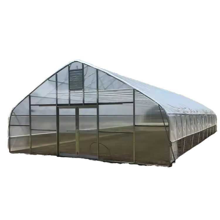 Large Easy to Install Polycarbonate Greenhouse