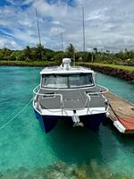 Bateaux de pêche en aluminium Gospel Boats 2026, nouveau design, catamaran de 10 m, bateau à moteur