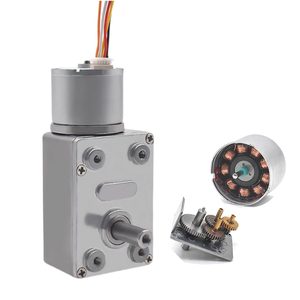 <span class=keywords><strong>Motor</strong></span> de engranaje helicoidal Faradyi DE ALTO Torque, 12 V, CC, 12 voltios, 24 voltios, 6rpm, 120rpm, <span class=keywords><strong>Motor</strong></span> de cortina eléctrica con autobloqueo para uso en barcos - Product Image 4