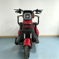 Tricycle électrique à 3 roues de haute qualité, vente directe d'usine chinoise, batterie au plomb-acide 48V500W, tricycle électrique pour adultes à 2 places