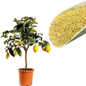 Engrais organique au citron Lupini 5 kg, nourriture pour plantes fruitières citronnées - Product Image 3