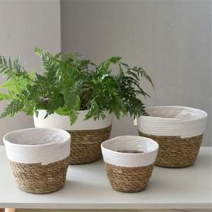Cesta de Mimbre para Jardín, Cesta de Lavandería para Baño Pequeño, Cestas de Regalo de Bienvenida, Tipo Moisés, Baúl Tejido a Mano - Product Image 1
