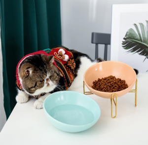 Disesuaikan Grosir Hewan Peliharaan Anjing Kucing Keramik Mangkuk Tikar Pengumpan Makanan Air dengan Dudukan Baja Tahan Karat - Product Image 2