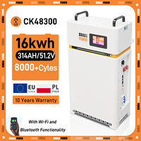 PL EU Stock Braun Power 51.2V 314Ah 16KWh LiFePO4 batterie mobile Lifepo4 ESS 2A équilibreur actif pour le stockage d'énergie domestique