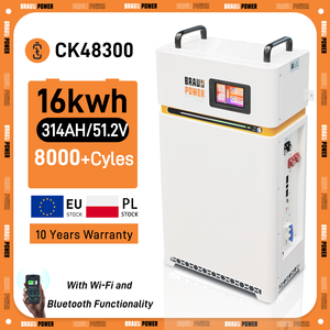 PL EU Stock Braun Power 51.2V 314Ah 16KWh LiFePO4 Mobile Lifepo4 Battery Pack ESS 2A Active Balancer per <span class=keywords><strong>la</strong></span> casa di immagazzinamento dell'energia - Product Image 1