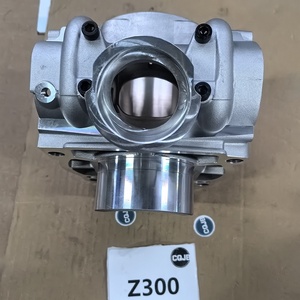 บล็อกกระบอกสูบ CQJB Z300 สำหรับรถมอเตอร์ไซค์ออฟโรด Hengjian Z300 เครื่องยนต์ 2 จังหวะ อะไหล่ทดแทน ผลิตจากเหล็กและอลูมิเนียม คุณภาพระดับ A - Product Image 3