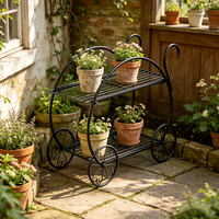 Support à fleurs en métal à 2 niveaux, petit présentoir en forme de chariot, adapté à la décoration de mariage, au balcon, au jardin, aux pots de fleurs