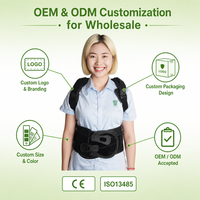 Ceinture de soutien lombaire respirante et réglable, attelle ergonomique pour le bas du dos, soulagement de la douleur et correction de la posture