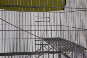 Grande échelle à 4 niveaux et plate-forme en métal noir intérieur extérieur Playhouse <span class=keywords><strong>Cage</strong></span> en bois pour furets chats hamsters oiseaux lapins - Product Image 5