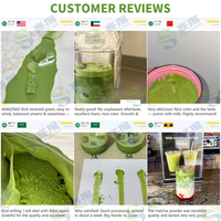 Poudre de Matcha Cérémonial Bio en Boîte de 30g, Marque Privée OEM/ODM, Personnalisable avec Faible MOQ