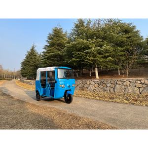 Triciclo eléctrico Tuktuk Rickshaw de estilo indio de cuerpo fuerte para 4 pasajeros Triciclo eléctrico de tres ruedas 2000W de potencia para adultos - Product Image 6