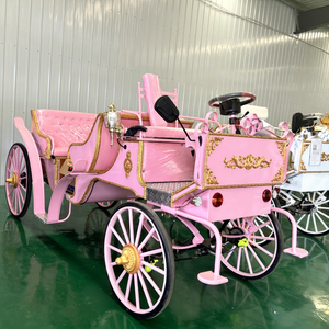 Carruaje Eléctrico de Lujo Estilo Victoria sin Caballos de 4 Ruedas para Recorridos Turísticos, 2 Años de Garantía, Ideal para Bodas, Lugares Turísticos, Lagos, Resorts y Recorridos Urbanos - Product Image 1