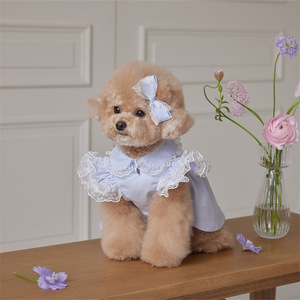 Sweet Lace Dress For <b>Dogs</b> <b>Light</b> Blue Cotton Pet Apparel With Bow Hair Accessory - Product Image 1