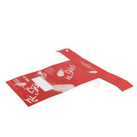 Boîte à rabat magnétique rouge sur mesure avec étui, emballage en carton rigide, logo en feuille d'or, fenêtre et insert en éponge souple