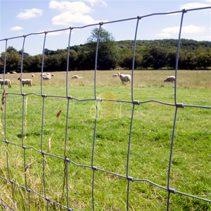 QianQin 가축 울타리 아연 도금 소 사슴 울타리 돼지 염소 말을위한 무거운 아연 코팅 와이어 메쉬 농장 - Product Image 5