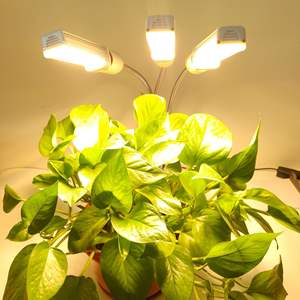 Clip LED Plant Grow Light Mini LED Grow Light Clips Full Spectrum para tomates Fruit Bearing Plants - Product Image 3