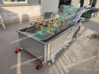Vbjx 220V 50Hz Druiven Drakenfruit En Wortelgroente Snijden Schil Wasmachine Reiniging Wasstation Lift Machine Lijn