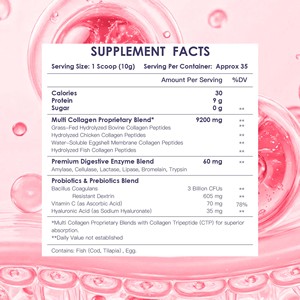 OEM ODM Polvo de Péptidos de Colágeno de Buena Calidad con Mezcla Patentada de Multi-Colágeno, Suplemento en Polvo que Promueve una Digestión Saludable - Product Image 2