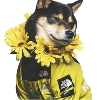 north face dog jacket dog coat, north 