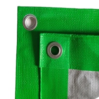 Bâche en PE enduite imperméable et robuste pour tentes extérieures, toiture, couleur vert-argent, taille personnalisable, vente chaude Argentine