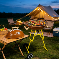 Barbecue portable mini en acier au charbon de bois avec chariot pliable, design ovale moderne en émail de porcelaine de style coréen pour usage domestique et extérieur