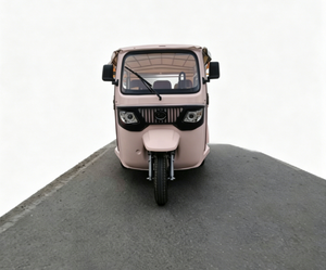 Tricycle à trois places pour adultes, fabriqué <span class=keywords><strong>en</strong></span> Chine, haute efficacité <span class=keywords><strong>de</strong></span> travail, marché europé<span class=keywords><strong>en</strong></span>, homologué EEC COC - Product Image 3